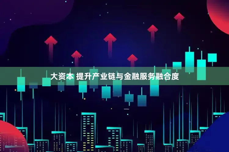 大资本 提升产业链与金融服务融合度